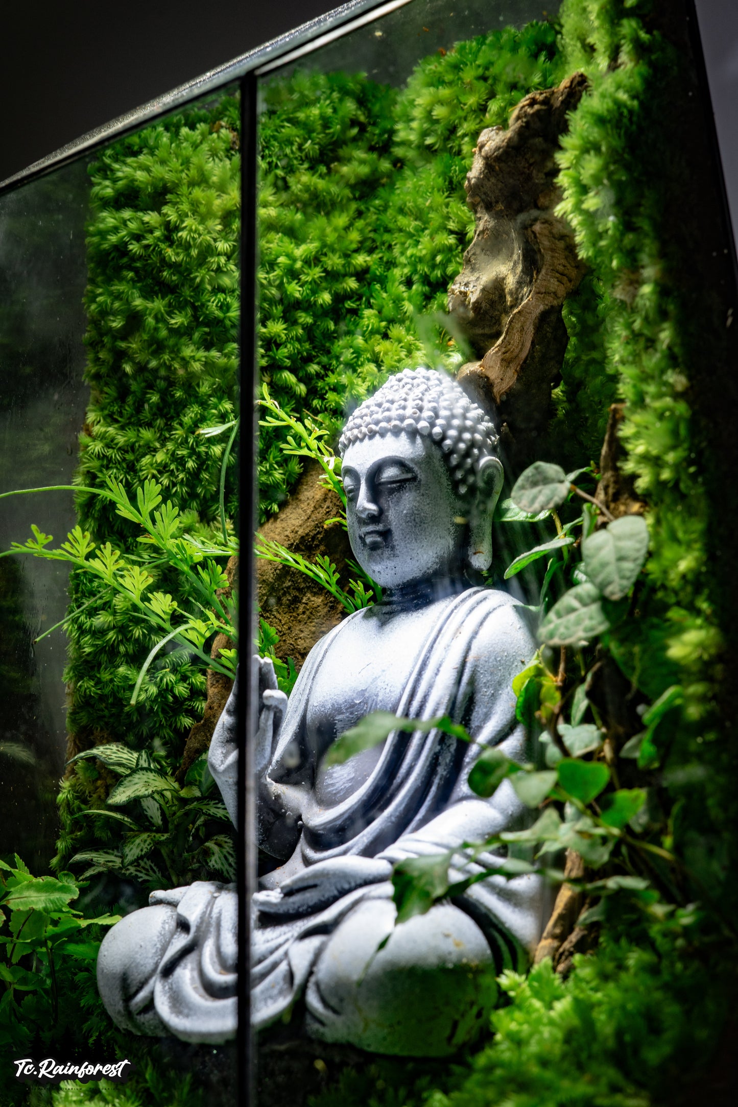 TC - Phật Giáo - 011
