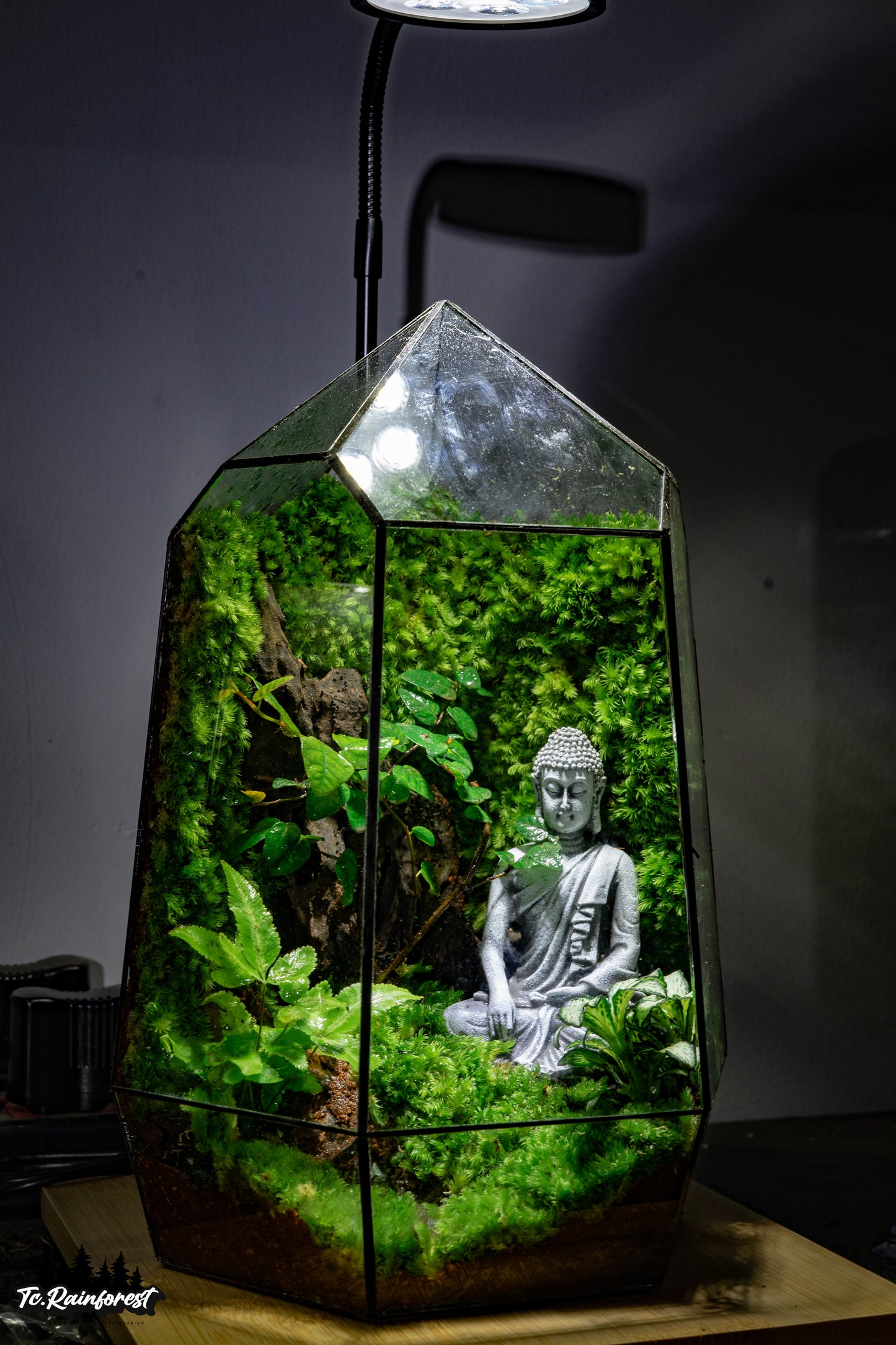 TC - Phật Giáo - 012