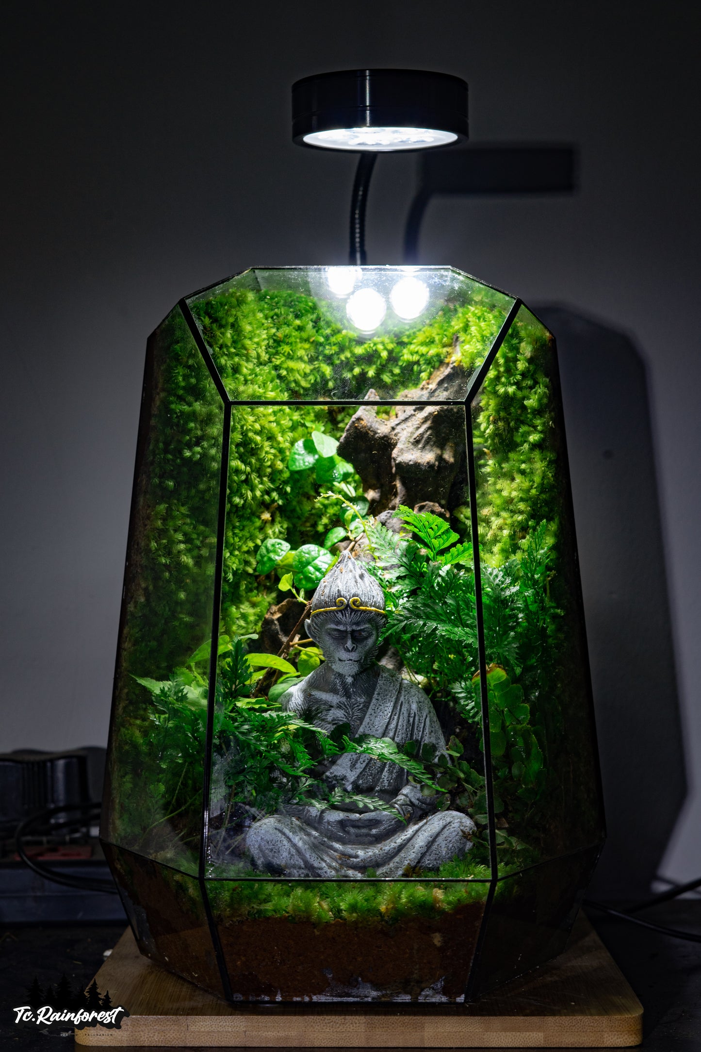 TC - Phật Giáo - 014