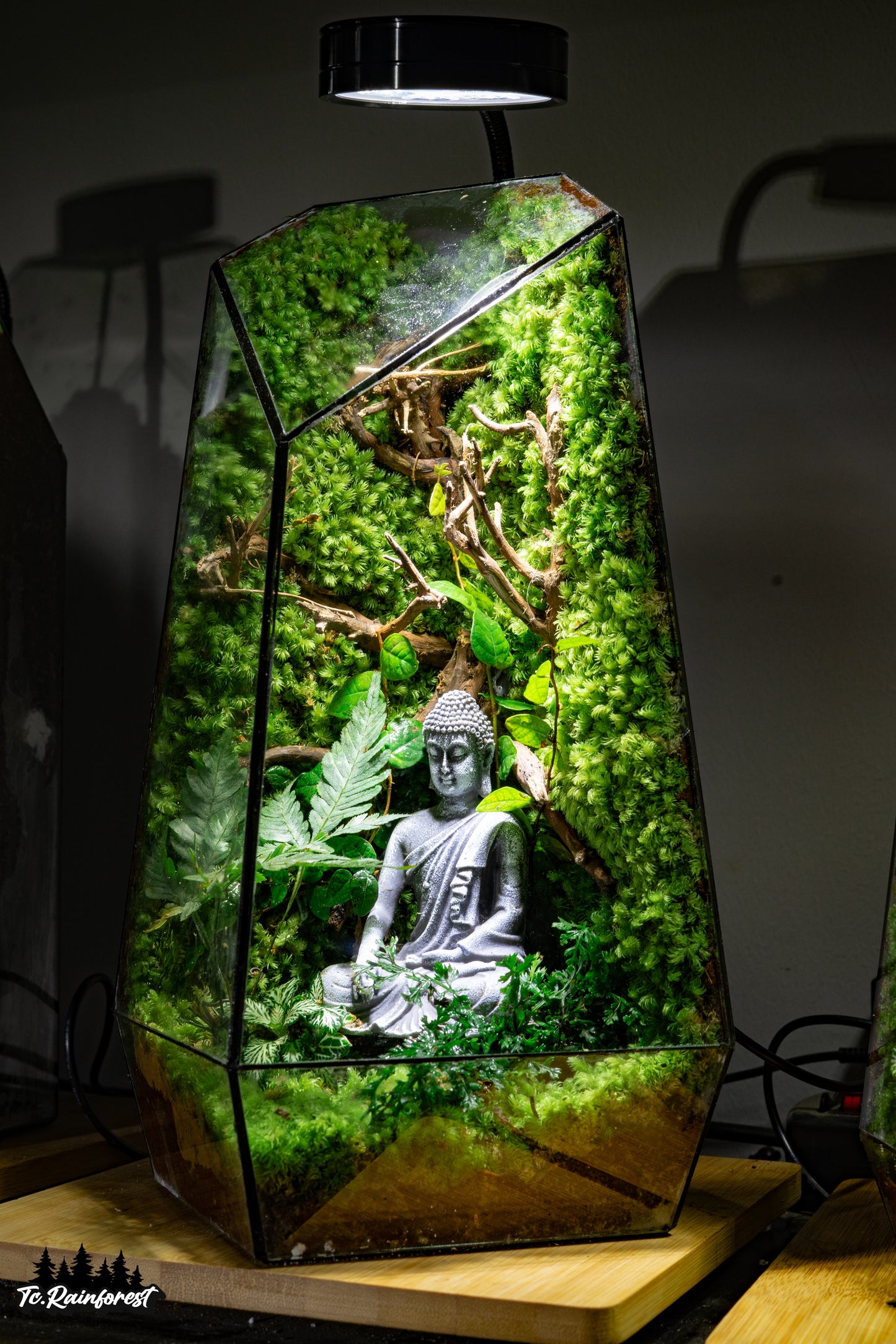 TC - Phật Giáo - 015