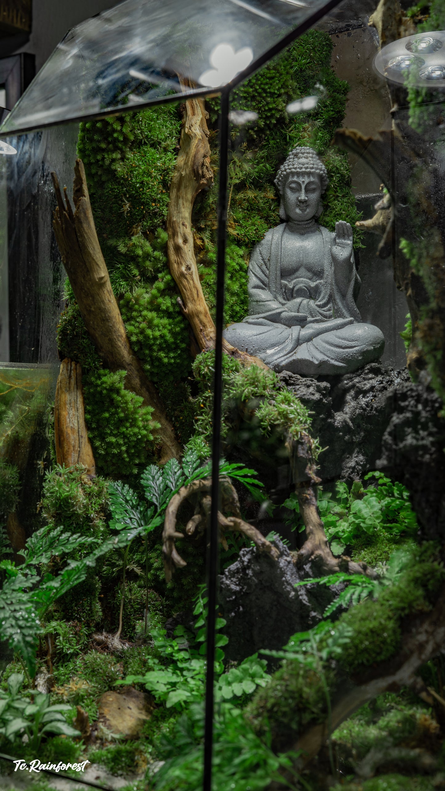 TC - Phật Giáo - 017