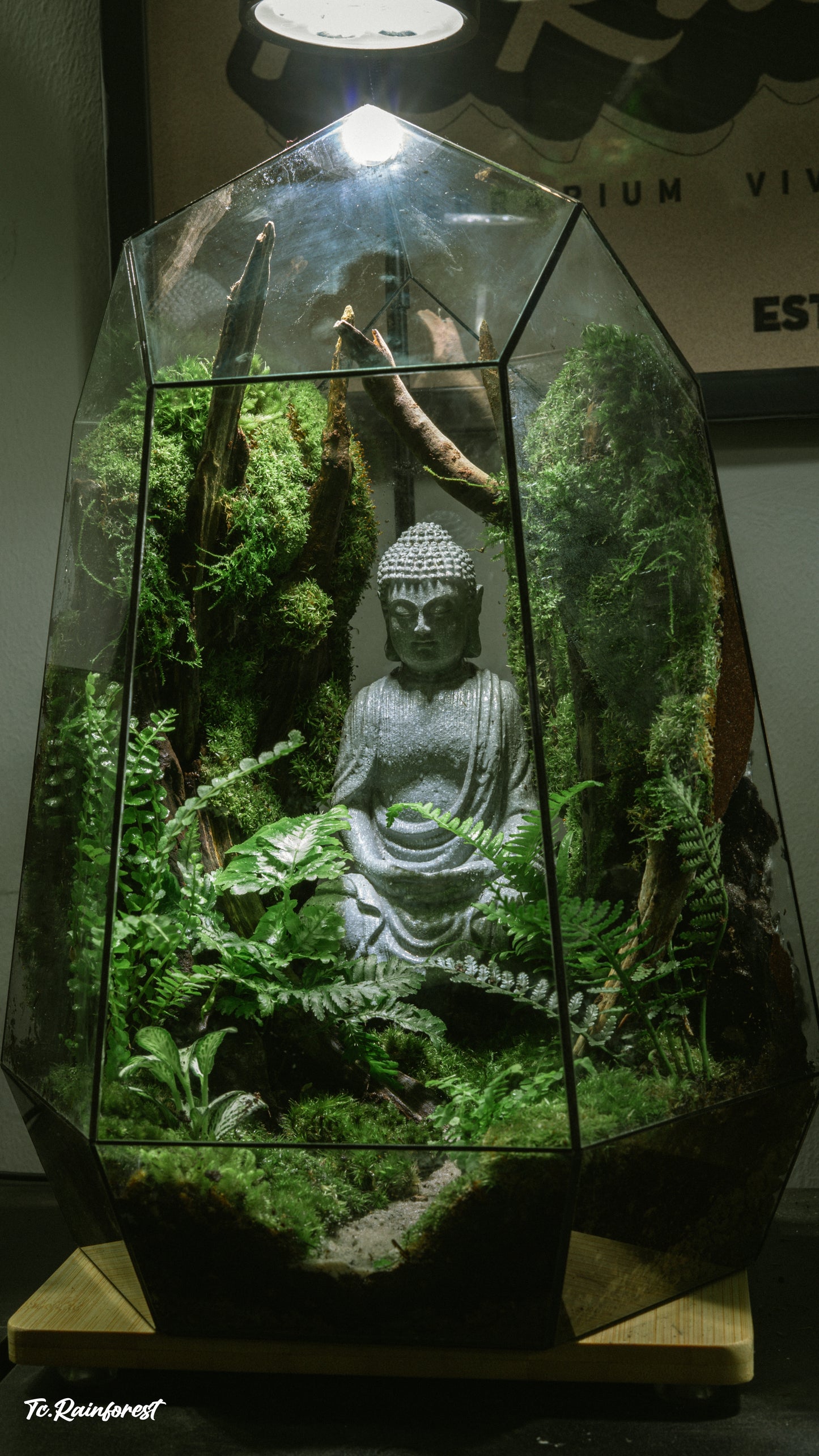 TC - Phật Giáo - 018