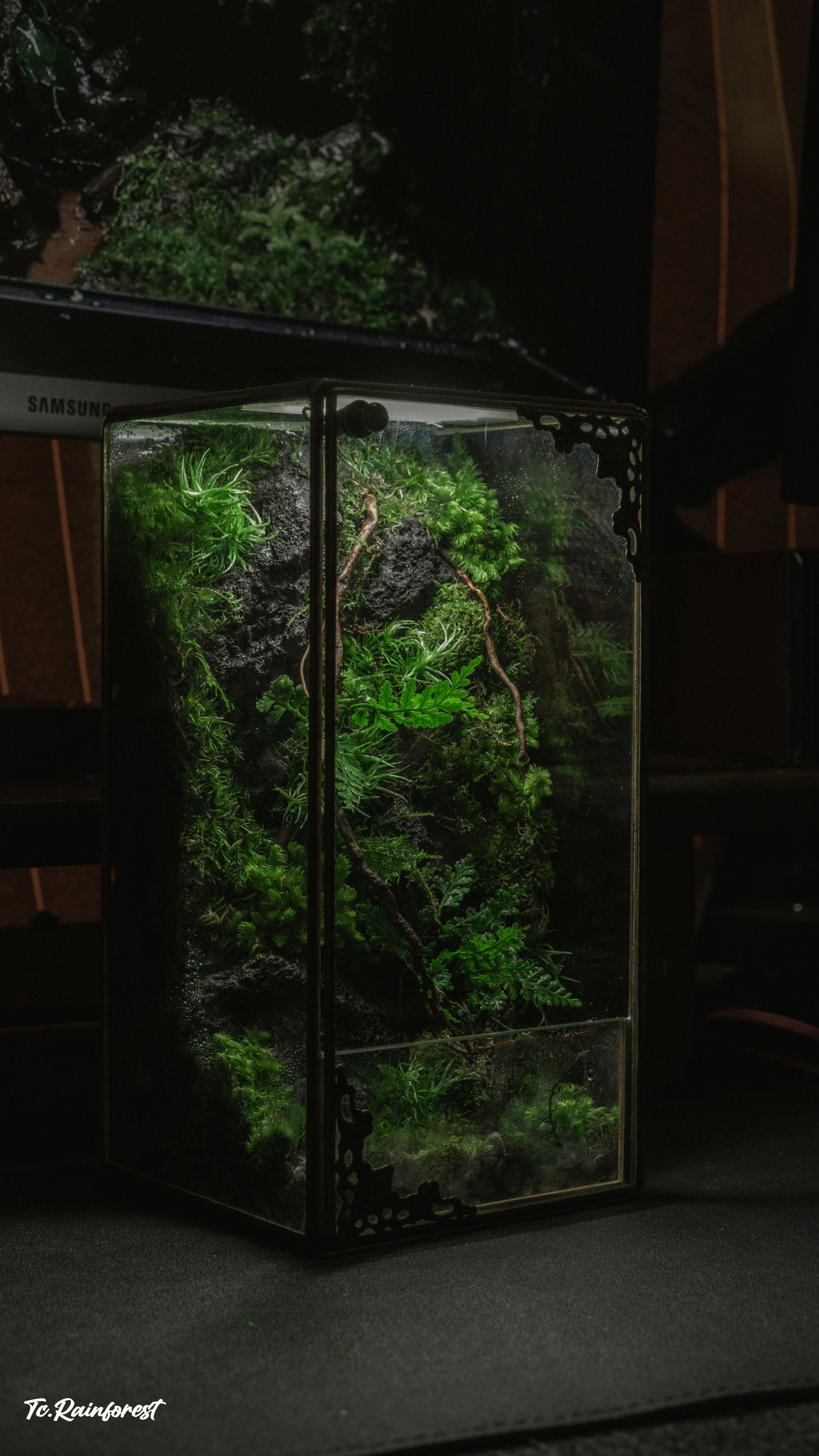 TC - Natural - 27