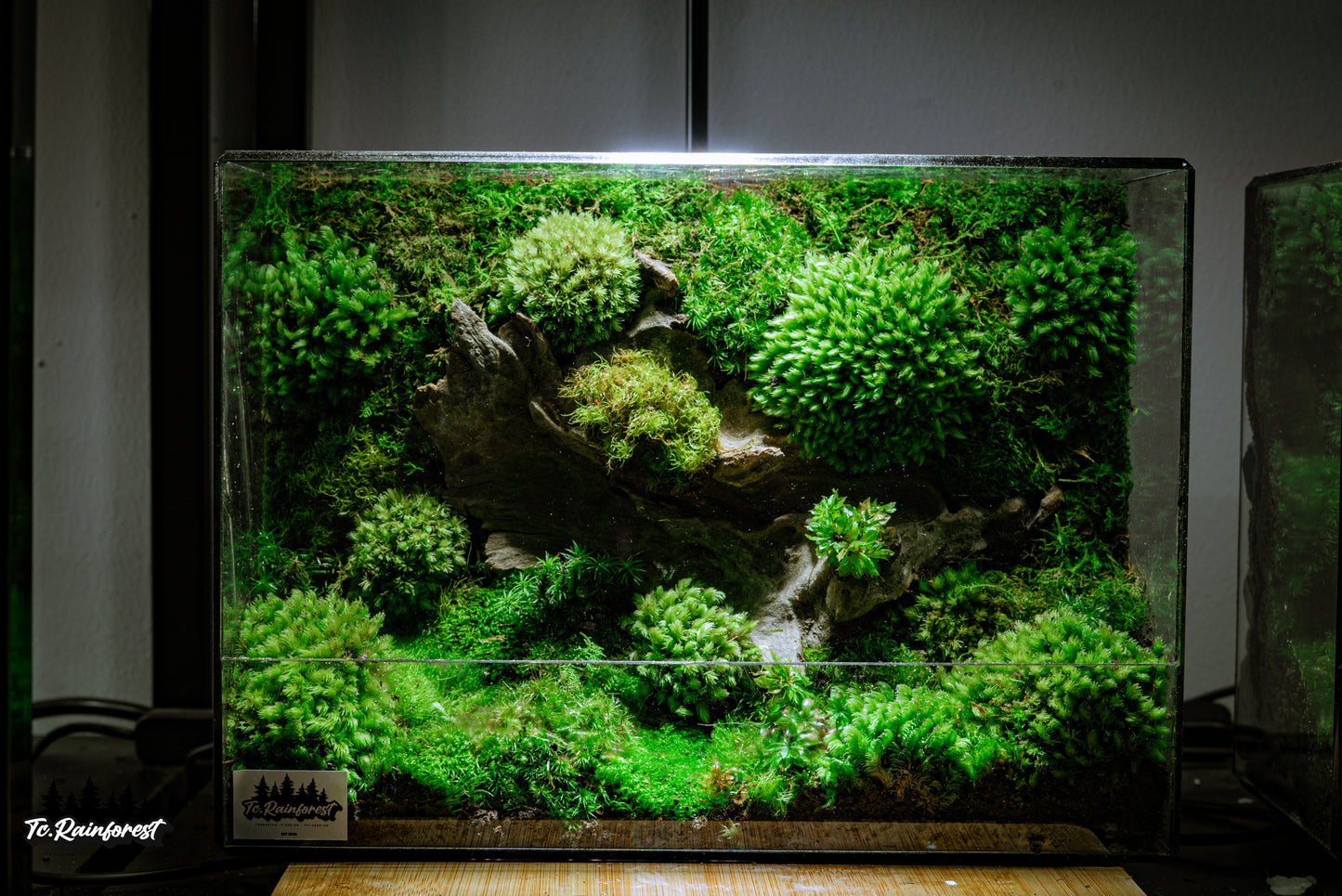 TC - Natural - 02