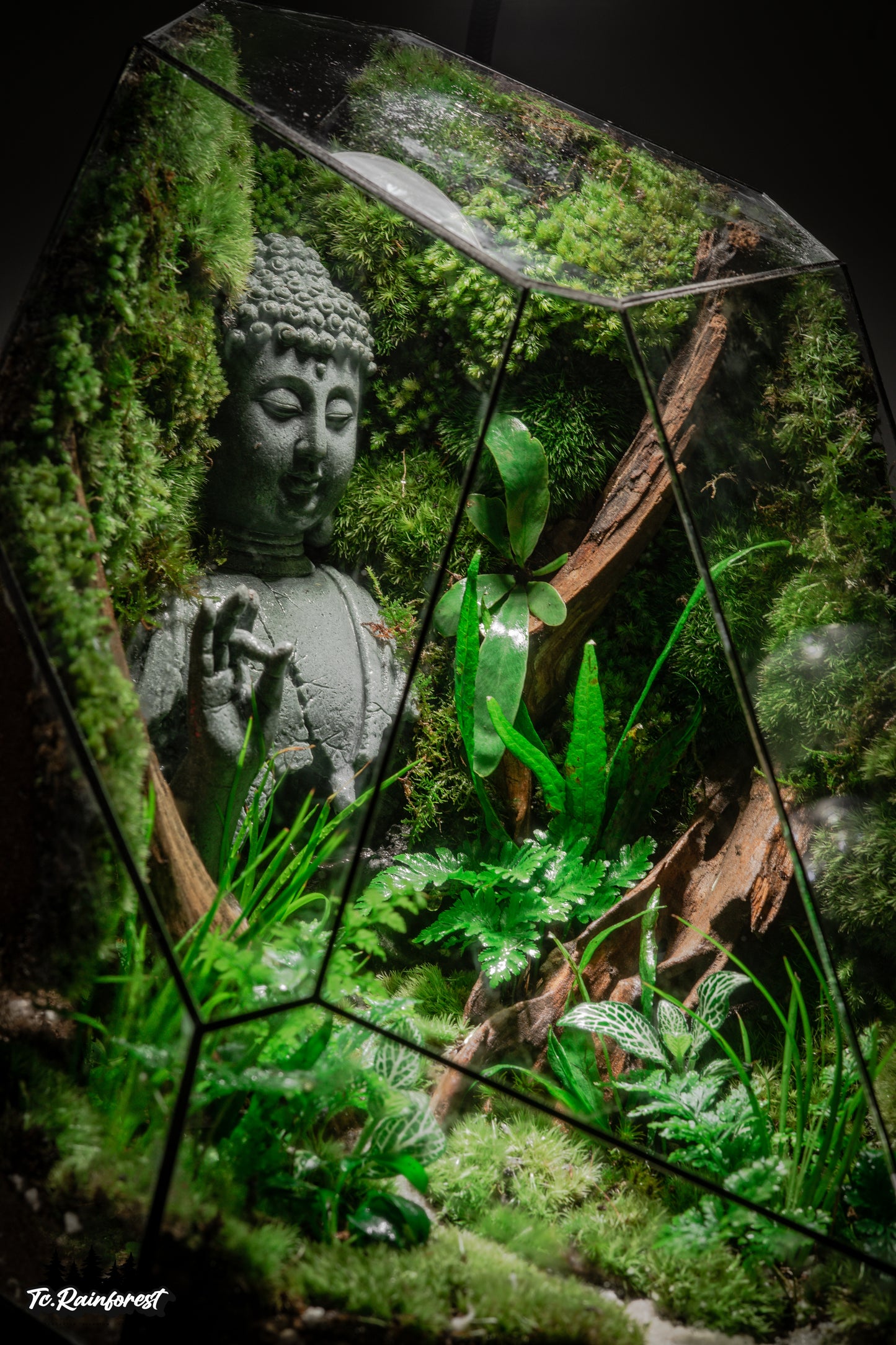 TC - Phật Giáo - 04