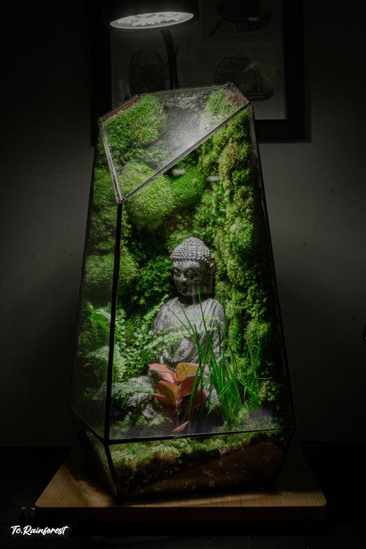 TC - Phật Giáo - 05