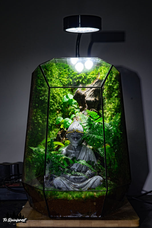 TC - Phật Giáo - 014